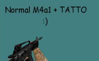 M4A1 + TATTO skin
