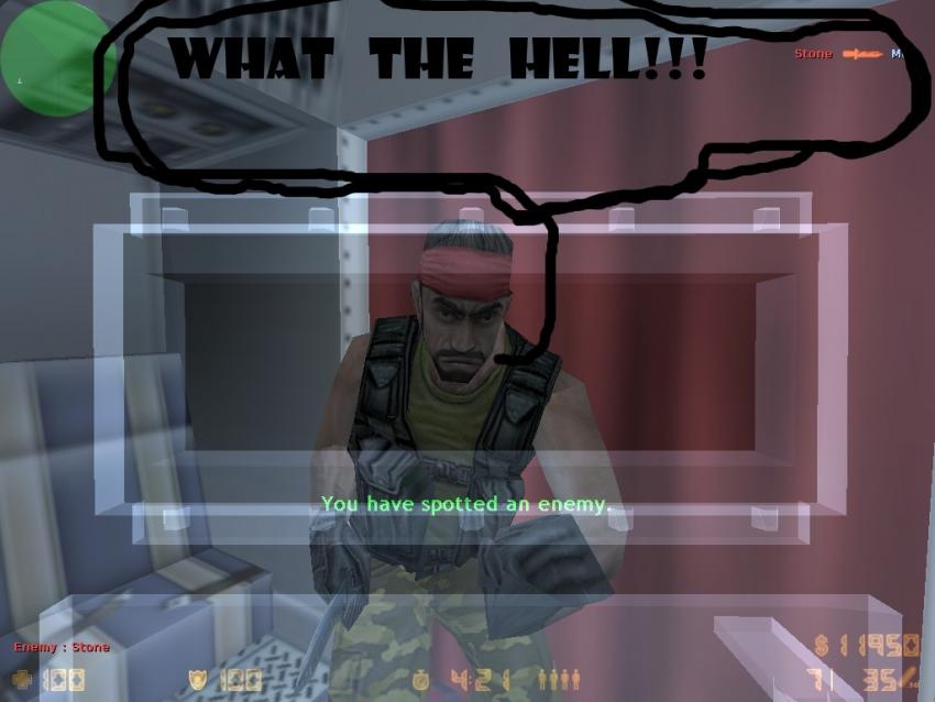 3372.jpg